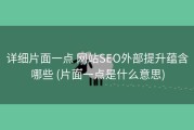 详细片面一点 网站SEO外部提升蕴含哪些 (片面一点是什么意思)