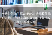 一分钟带你了解WePoKer透视软件插件，微扑克原来真的有挂的（有挂教程）-哔哩哔哩