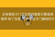 还有哪些冷门又实用的搜索引擎值得推荐 除了百度 (还有哪些冷门赚钱的行业)