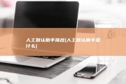 人工默认助手排名 (人工默认助手是什么)