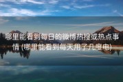 哪里能看到每日的微博热搜或热点事情 (哪里能看到每天用了几度电)