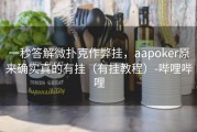 一秒答解微扑克作弊挂，aapoker原来确实真的有挂（有挂教程）-哔哩哔哩