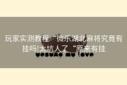 玩家实测教程“微乐湖北麻将究竟有挂吗!太坑人了“原来有挂