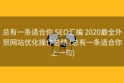 总有一条适合你 SEO汇编 2020最全外贸网站优化操作总结 (总有一条适合你上一句)