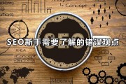 seo违规么 真的 (seo违法吗)