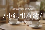小红书品牌营销案例 (小红书品牌营销策略)