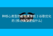 种核心类型的面包屑导航 3 谷歌优化的 (核心类型是指什么)