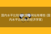 国内水平比较高的摄影网站有哪些 (国内水平比较高的经济学家)