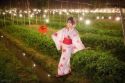 二次元逐渐走入大众视野，却为何引发诸多质疑？
