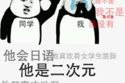 二次元文化兴起，90 后、00 后成主力军，你了解二次元吗？