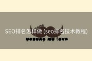SEO排名怎样做 (seo排名技术教程)