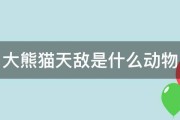 大熊猫的天敌是什么?