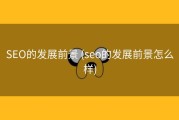 SEO的发展前景 (seo的发展前景怎么样)