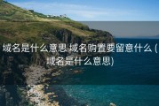域名是什么意思 域名购置要留意什么 (域名是什么意思)