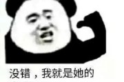 情报姬游戏部精选：二次元IP改编游戏推荐，剧情跌宕、人设深刻、玩法丰富
