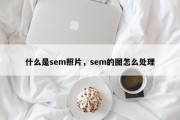 什么是sem照片，sem的图怎么处理