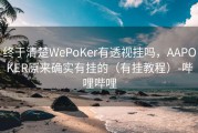 终于清楚WePoKer有透视挂吗，AAPOKER原来确实有挂的（有挂教程）-哔哩哔哩