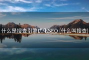 什么是搜查引擎优化SEO (什么叫搜查)