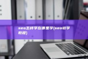 seo怎样学在哪里学 (seo初学教程)