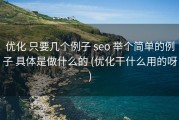 优化 只要几个例子 seo 举个简单的例子 具体是做什么的 (优化干什么用的呀)