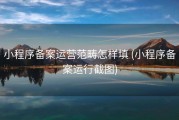 小程序备案运营范畴怎样填 (小程序备案运行截图)