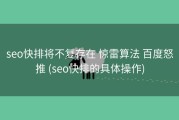seo快排将不复存在 惊雷算法 百度怒推 (seo快排的具体操作)