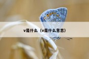 刷V是什么意思 (刷v是什么意思机场)