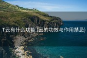 T云有什么功能 (云的功效与作用禁忌)
