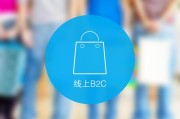 B2C网站SEO该如何做 白杨SEO案例第2篇 (b2c网站收益模式)