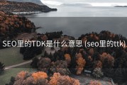 SEO里的TDK是什么意思 (seo里的ttk)