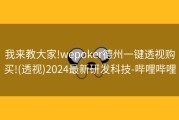 我来教大家!wepoker德州一键透视购买!(透视)2024最新研发科技-哔哩哔哩