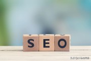 SEO 有开展吗 行业的未来在哪里呢 (seo的项目有哪些)