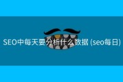 SEO中每天要分析什么数据 (seo每日)