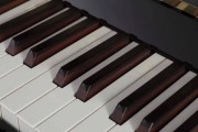斯特曼钢琴品位