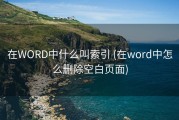 在WORD中什么叫索引 (在word中怎么删除空白页面)