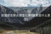 我搜搜查聚合搜查引擎 (搜聚是什么意思)