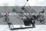 竞争力都分析什么 (竞争力都分析哪些方面)