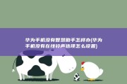 华为手机没有智慧助手怎样办 (华为手机没有在线铃声选项怎么设置)
