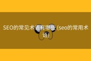 SEO的常见术语有哪些 (seo的常用术语)