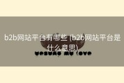 b2b网站平台有哪些 (b2b网站平台是什么意思)