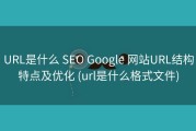 URL是什么 SEO Google 网站URL结构特点及优化 (url是什么格式文件)