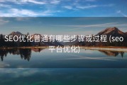 SEO优化普通有哪些步骤或过程 (seo平台优化)