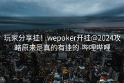 玩家分享挂！wepoker开挂@2024攻略原来是真的有挂的-哔哩哔哩