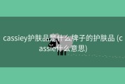 cassiey护肤品是什么牌子的护肤品 (cassie什么意思)