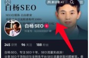 白杨SEO 最新百度算法更新大全49条 截至2021年9月 做百度SEO搜查提升排名必看！ (白杨m2)