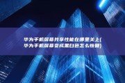 华为手机屏幕共享性能在哪里关上 (华为手机屏幕变成黑白色怎么恢复)