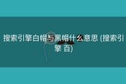 搜索引擎白帽与黑帽什么意思 (搜索引擎 百)