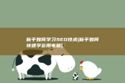 新手如何学习SEO技术 (新手如何快速学会用电脑)