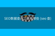 SEO数据查询工具有哪些 (seo 查)