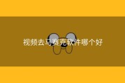 视频去马赛克软件哪个好